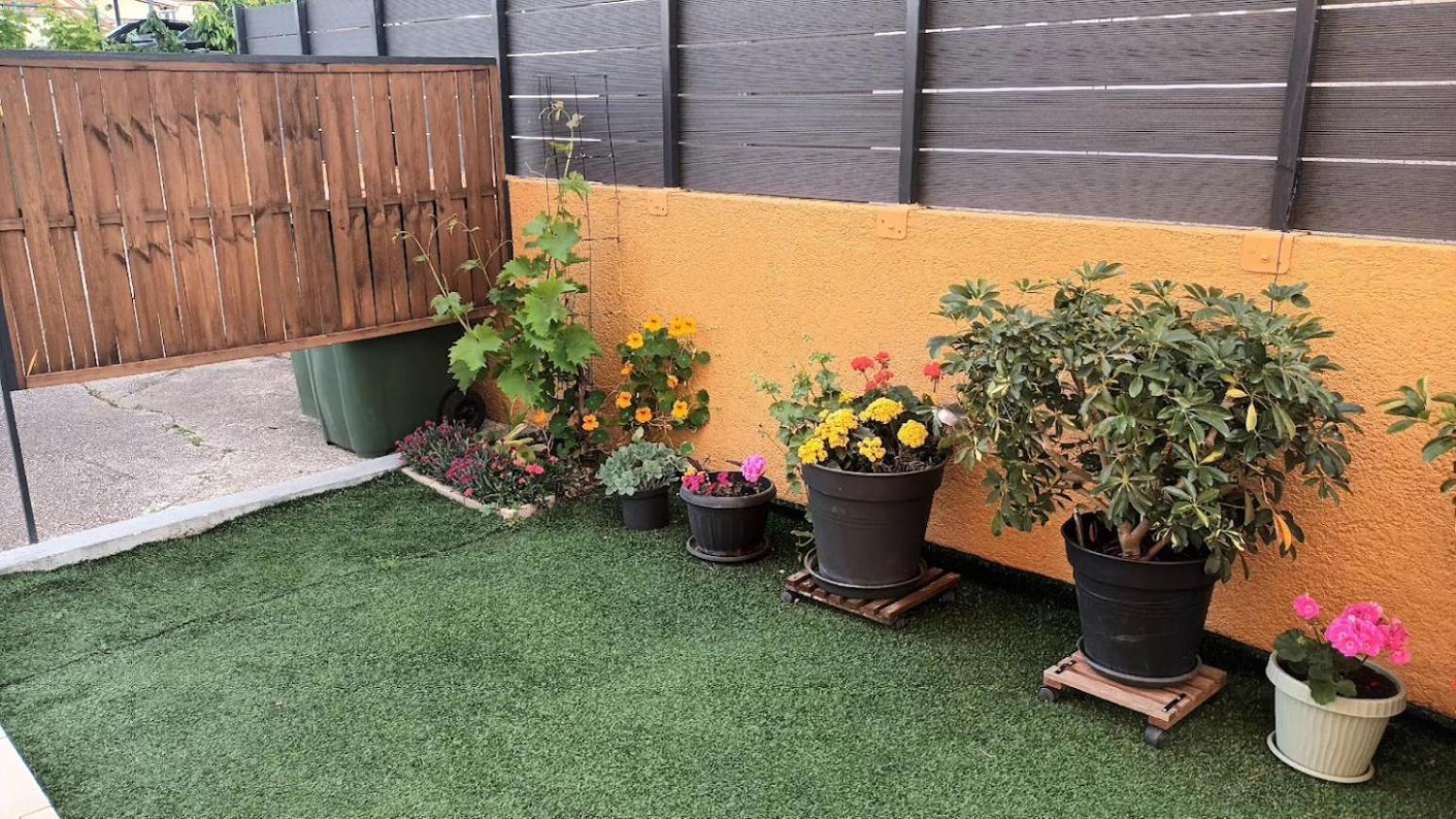 Apartman Sandra -Private Parking And Garden زادار المظهر الخارجي الصورة